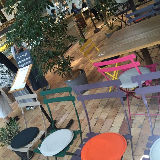 【茨木市】植物たくさんの中で食べる開放的なランチ