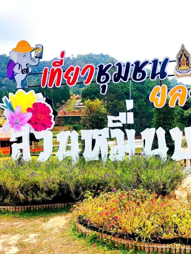 Beautiful Garden in Betong