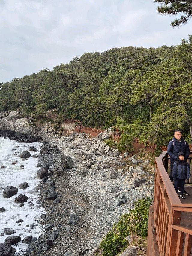 Dongbaek Island Busan
