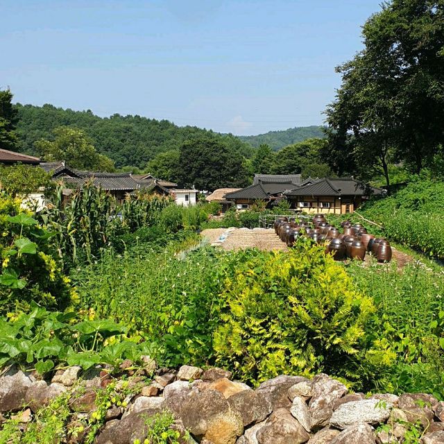 물 위에 떠있는 꽃섬, 영주 무섬마을