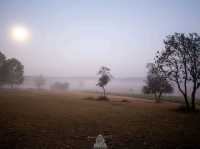 จุดกางเต็นท์หนองแม่นา