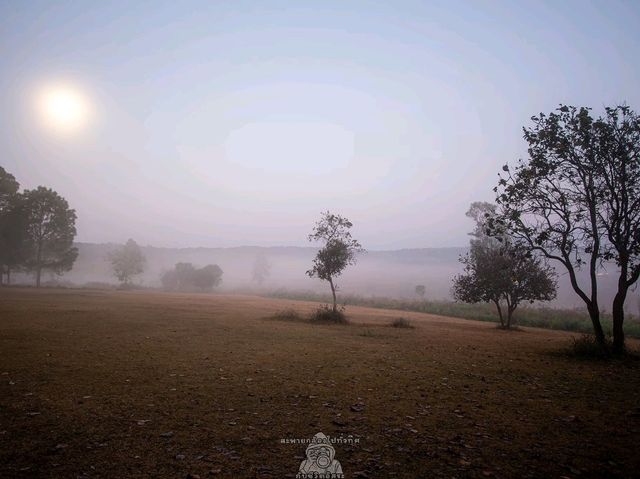 จุดกางเต็นท์หนองแม่นา