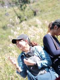 สักครั้งในชีวิตพิชิตยอดดอยหลวงเชียงดาว