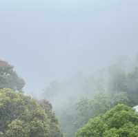 檳城之行:一段充滿人情味之旅行