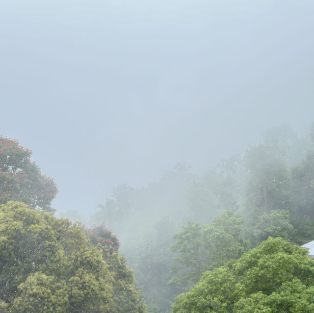 檳城之行:一段充滿人情味之旅行 檳城之行:一段充滿人情味之旅行