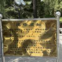 Encountering the Most Beautiful Spring at White Horse Temple