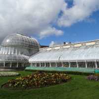 Belfast Botanic Gardens: A Green Haven in the City