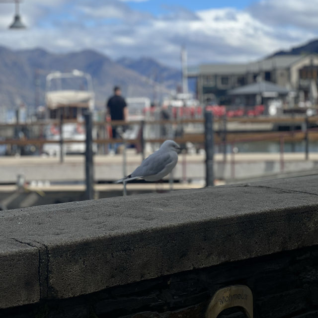 紐西蘭必訪旅遊勝地💗Queenstown 