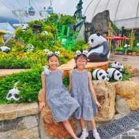 ดูแพนด้าที่ Ocean Park Hongkong 