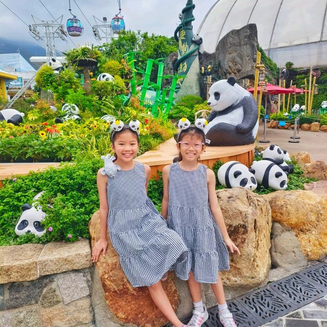 ดูแพนด้าที่ Ocean Park Hongkong 