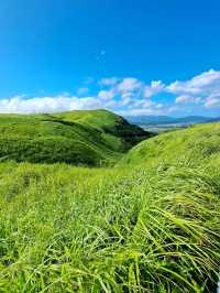 【大観峰:熊本県阿蘇市】綺麗すぎる緑の夏の絶景✨