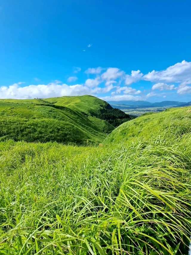 【大観峰:熊本県阿蘇市】綺麗すぎる緑の夏の絶景✨