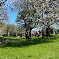 Stroll in a victorian cemetery 