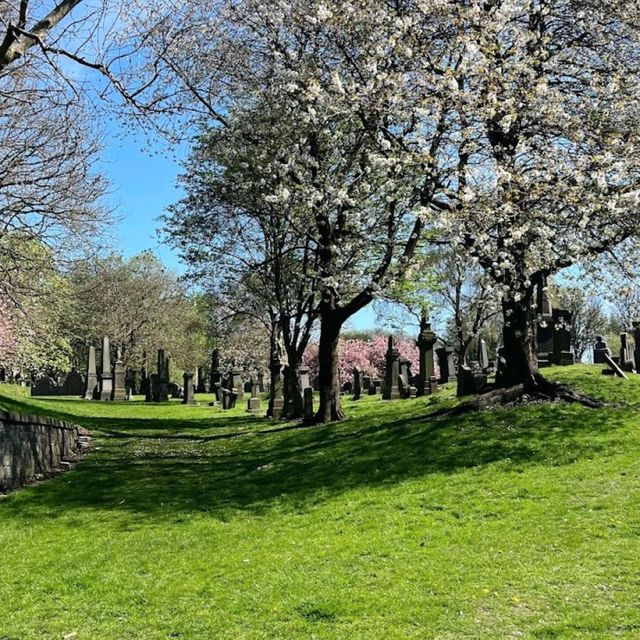 Stroll in a victorian cemetery 