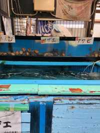 【山口グルメ】宇部🐡ふくふく亭