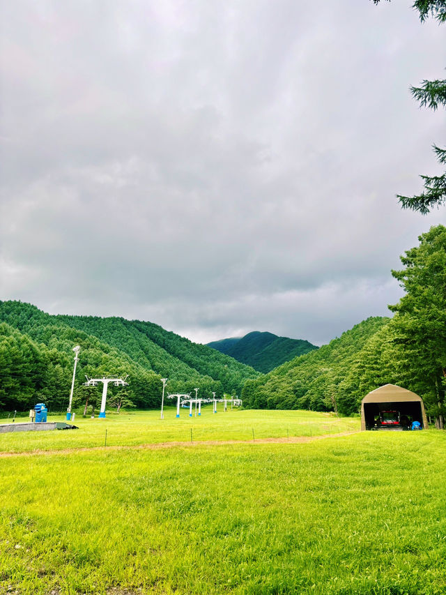 【日本東北】豬苗代本館利時達酒店：東北度假勝地，夏日森林散步、冬日賞雪