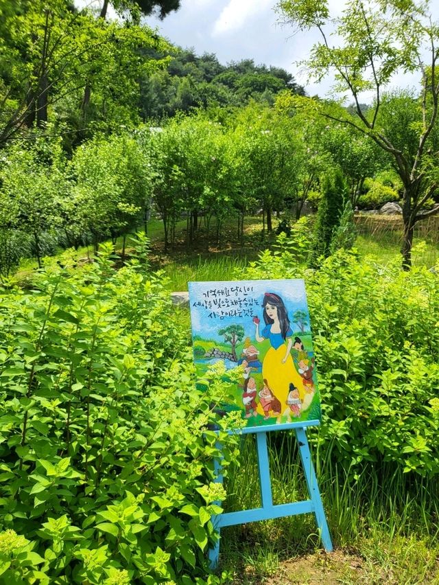 어른이도 좋아할 원주 동화마을 수목원
