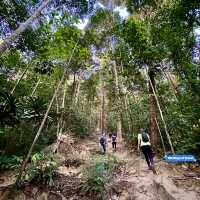 A Tropical Symphony: Conquering Gunung Angsi’s Enchanting Trails 