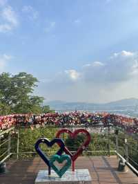서울N타워 vs 남산타워