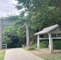 「金瓜石黃金博物館附近，再向上爬欣賞無敵海景」