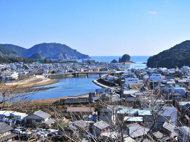 藥王寺櫻花