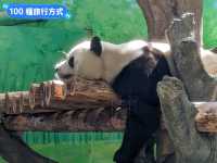 台北-大人小孩都喜歡的最佳親子景點：台北市立動物園