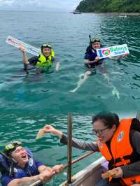 Exploring the Untouched Beauty of Satang Island: Dolphins, Snorkeling, and Turtle Conservation