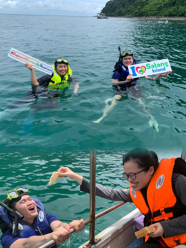Exploring the Untouched Beauty of Satang Island: Dolphins, Snorkeling, and Turtle Conservation