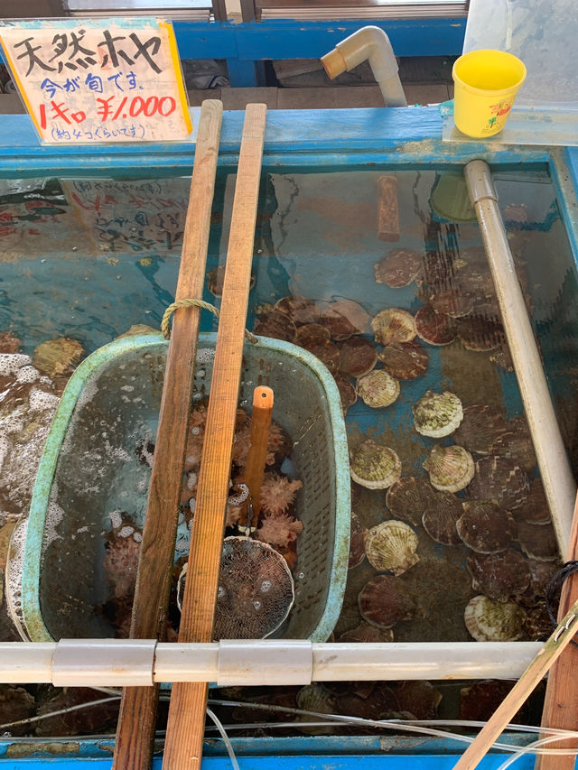 【青森／浅虫】痛風覚悟！？陸奥湾を眺めながら食べる3色丼