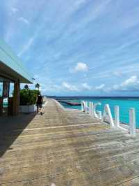 A dream country to travel to 🌊🐠🐟