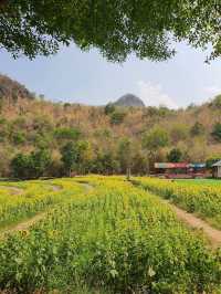  🌳 Keeree Mantra Kanchanaburi