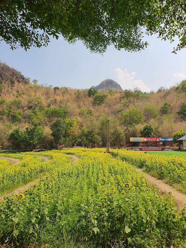  🌳 Keeree Mantra Kanchanaburi
