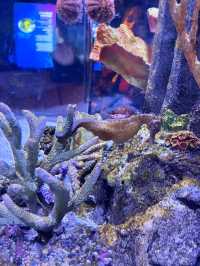 ชวนเที่ยว Sea Life Bangkok