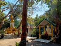 清邁烏懞寺:泰國最神秘的森林隧道寺廟