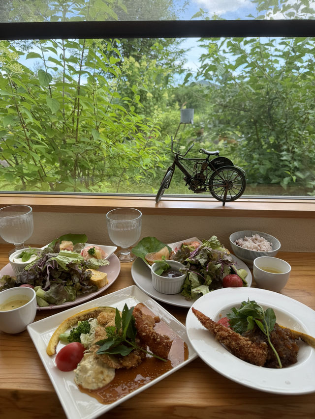 【福岡カフェ】緑いっぱいのお庭を眺めながらランチできるカフェ🍽