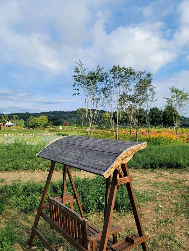 지금 가야할 연천 임진강댑싸리공원💚