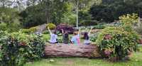 Spring Garden Kundasang, Beautiful floral and landscape