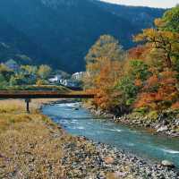  綠岳：秋色登山的夢幻🍂🏔️