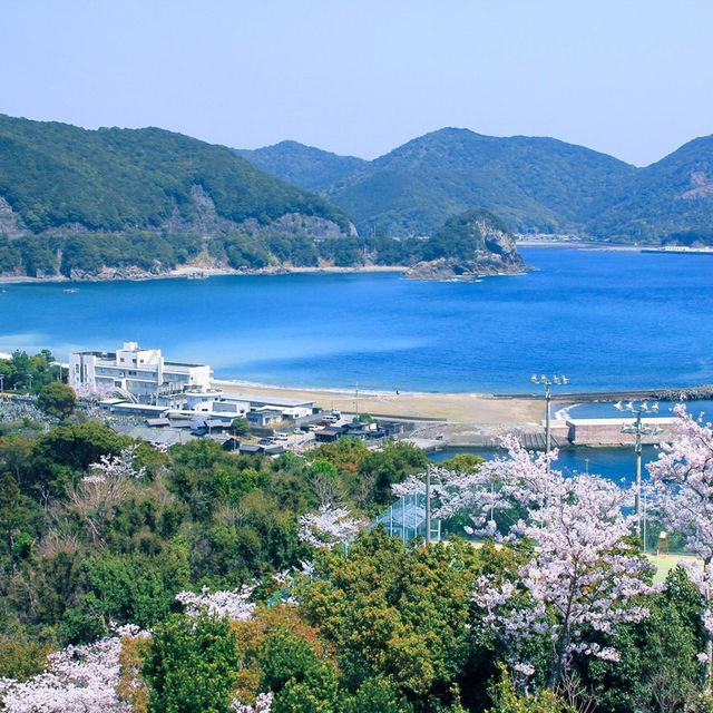 大濱海岸