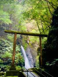 鳥居⛩️から先は神域？✨エメラルドに輝く3つの滝を一度に楽しめる大注目の滝スポット🥹元祖流しそうめん🥰