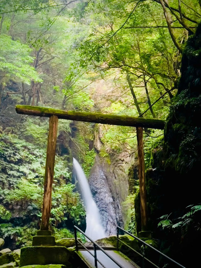鳥居⛩️から先は神域？✨エメラルドに輝く3つの滝を一度に楽しめる大注目の滝スポット🥹元祖流しそうめん🥰