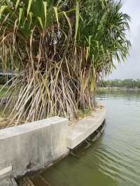 A Classic Retreat Amidst Lush Greenery! 