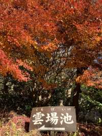 📍軽井沢 雲場池