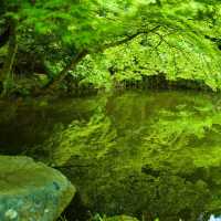 二丿岳：風光明媚⛰️🌿