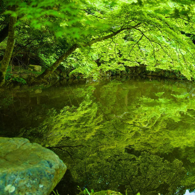 二丿岳：風光明媚⛰️🌿