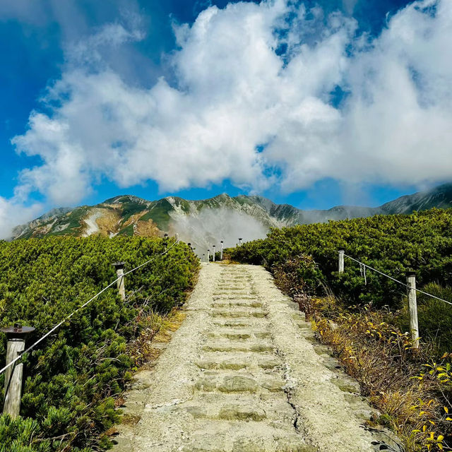 禮文岳：初秋色彩下的壯麗山景 🏞️🍂