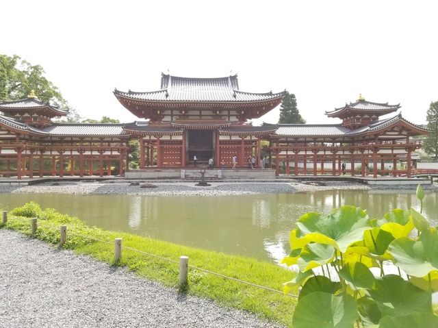【宇治】なぜ人は旅に出るのか？？平等院鳳凰堂編