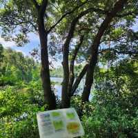 香港流水響水塘🏞丨2小時路程賞天空之鏡！