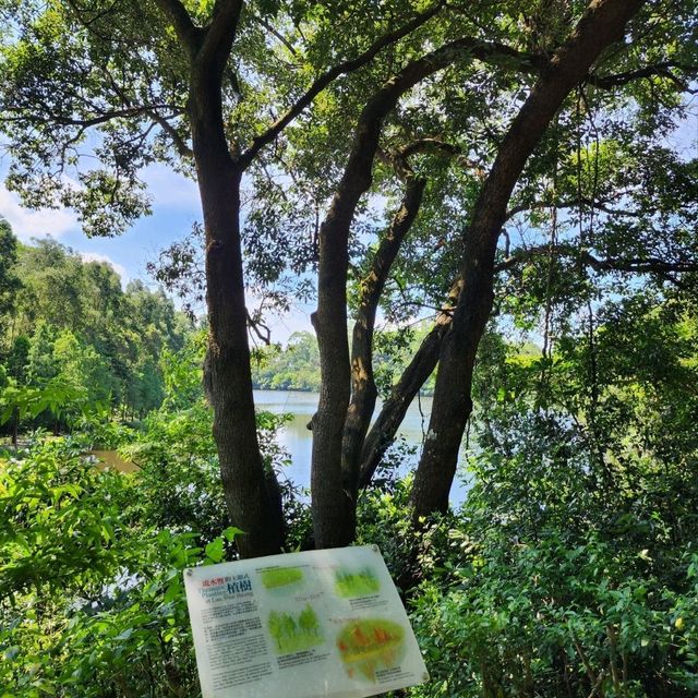 香港流水響水塘🏞丨2小時路程賞天空之鏡！