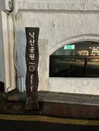 【韓国 ソウル】ソウル市を一望できる素敵な公園⛲️